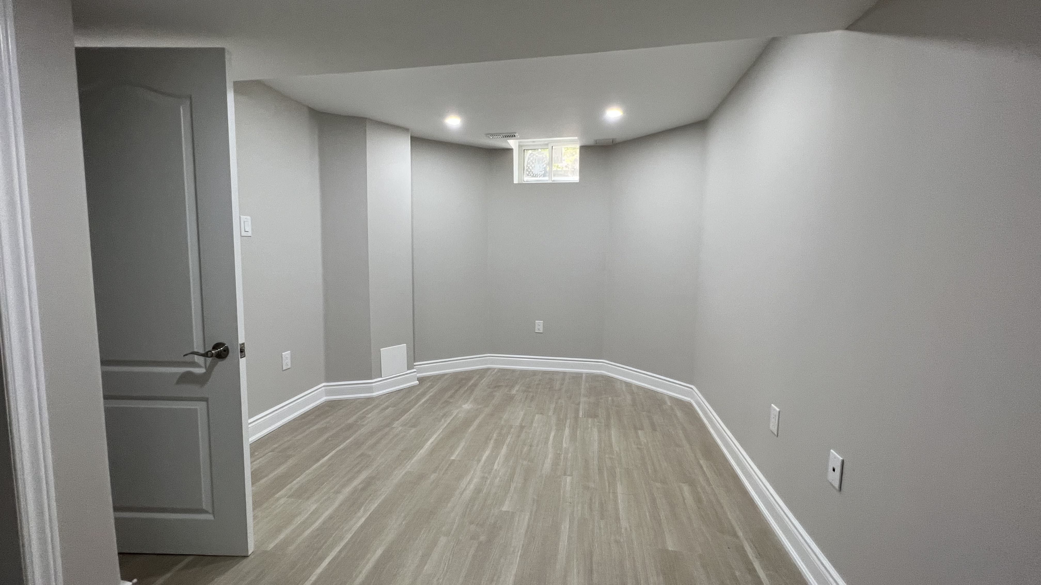 Doctor — Basement finish